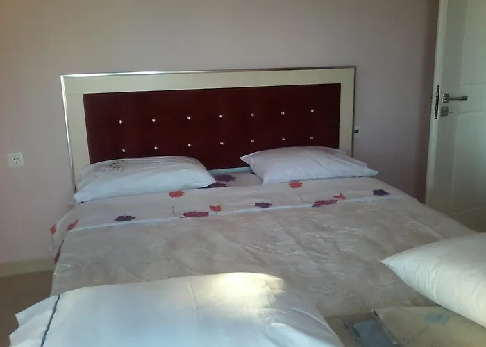 Apartment Adi